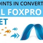 Stress Points in Converting Visual FoxPro to .NET