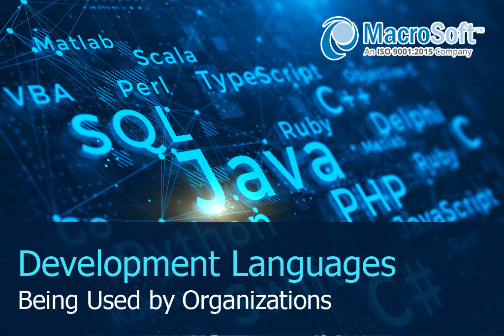 What Are The Different Development Languages Being Used By Organizations Besides VFP?